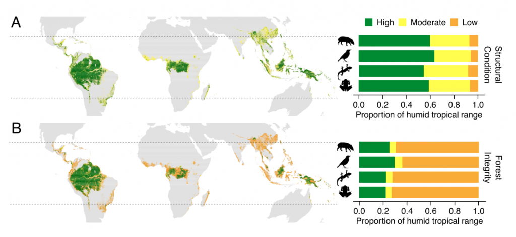 graphic showing the integrity of tropical forests across the globe